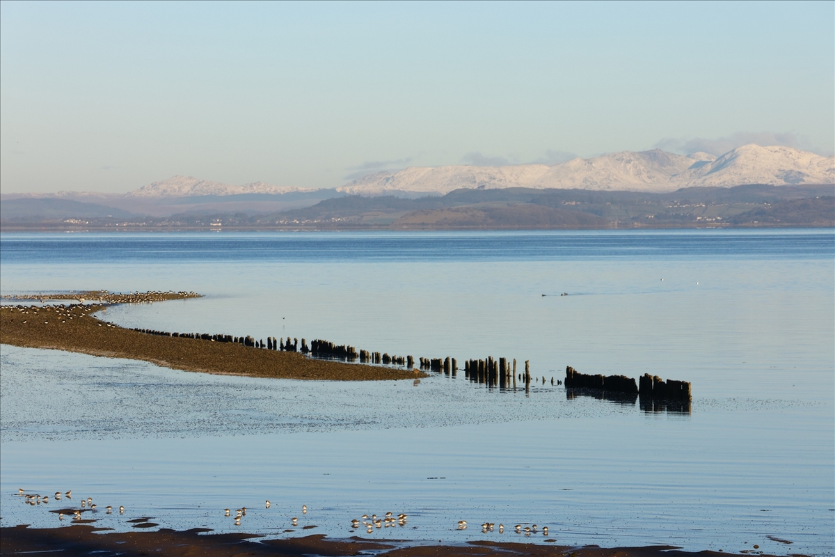 Morecambe Bay - Alan Bargh